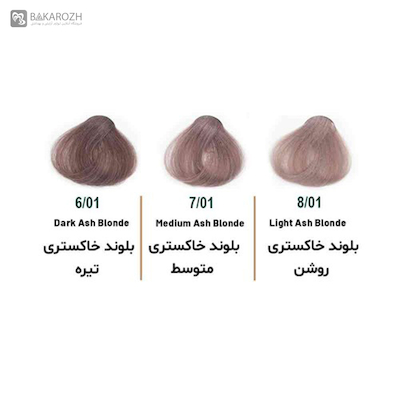 رنگ مو بدون آمونیاک سلوم (Selom Plus) سری خاکستری