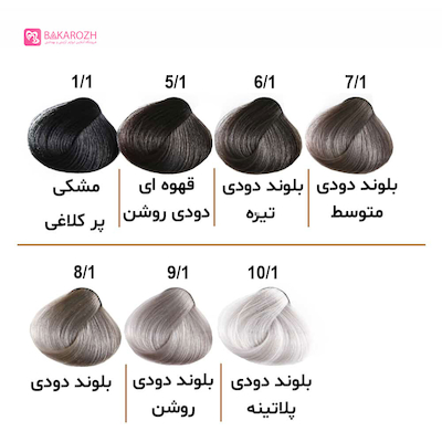 رنگ موی الوکسین (ELOXIN) سری دودی
