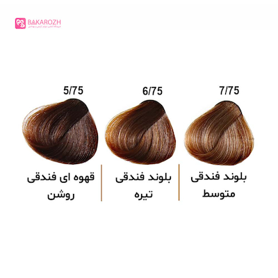 رنگ موی الوکسین (ELOXIN) سری فندقی